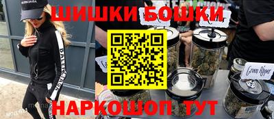 МДПВ Дубна