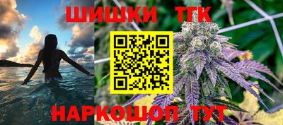 МДПВ Дубна