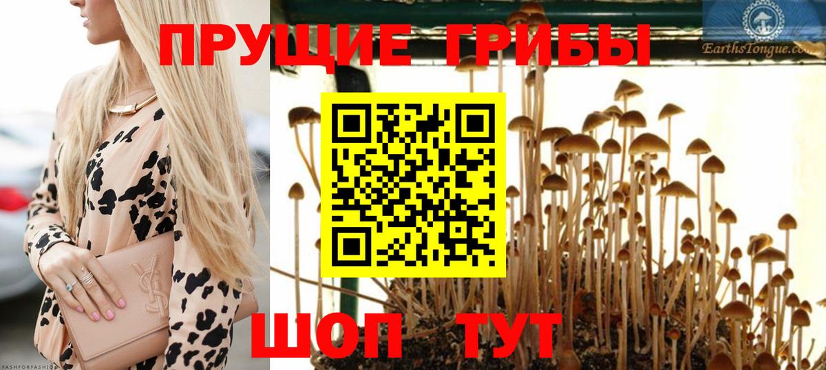 Галлюциногенные грибы Magic Shrooms  Вход с VPN  Псилоцибиновые грибы Psilocybine cubensis  Люберцы 